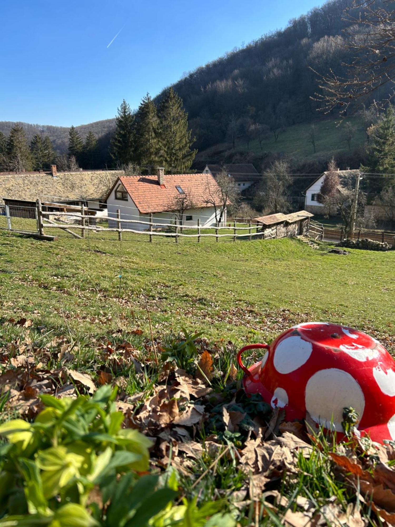 Kistuecsoek Vendeghaz Case de vacanță Obanya